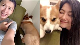 邵庭為小白發聲/翻攝自邵庭臉書