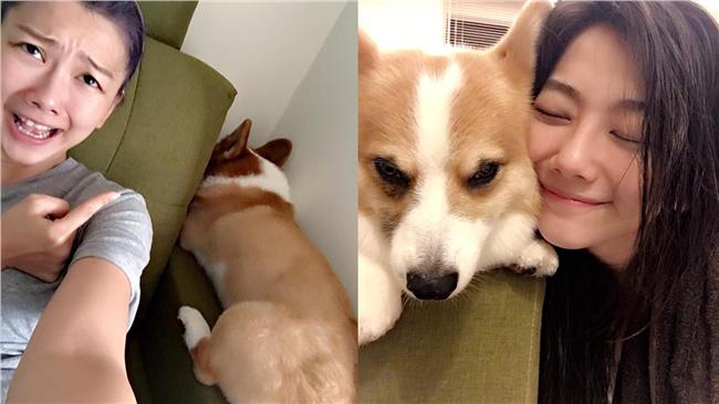 拒絕社會漠視！邵庭盼給動物友善空間