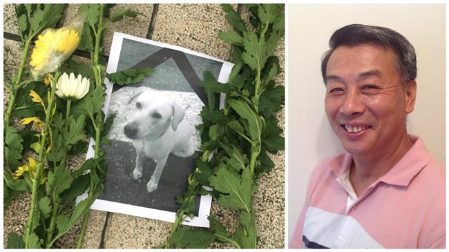 退役高官「祭小白文」嘆這些事被遺忘