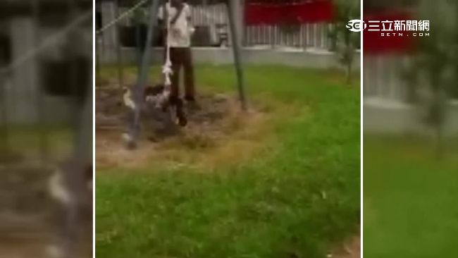 國中生用繩索虐鳥　校方將辦生命教育