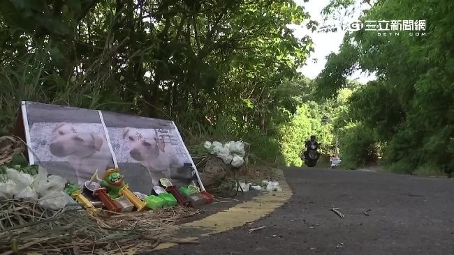 國軍虐殺小白！動保團體入營區找遺體