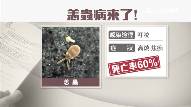 夏日出遊踏青注意！小心恙蟲病上身