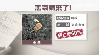 夏日出遊踏青注意！小心恙蟲病上身