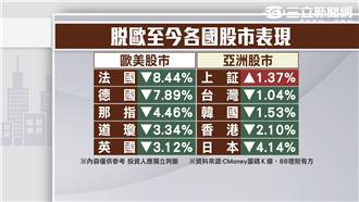 6月29日脫歐風暴　台股最壞已過？