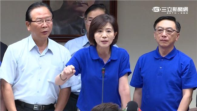 藍黨團首席副書記長　王育敏將出任