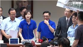 立委 國民黨 甲動 王育敏