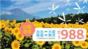 香草航空暑期促銷。（圖／香草航空提供）