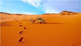 沙漠(flickr/Moyan Brenn)
https://goo.gl/4sqQ0n