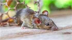 ▲圖／shutterstock／達志影像
