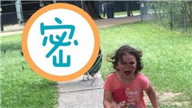 孔雀,妹妹,嚇,每日郵報http://www.dailymail.co.uk/femail/article-3662417/Girl-running-away-peacock-internet-sensation.html