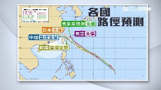尼伯特是否登台　中、日預測大不同