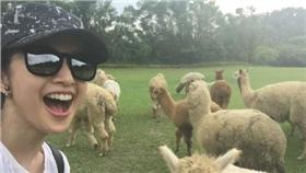 林依晨,圖／林依晨微博