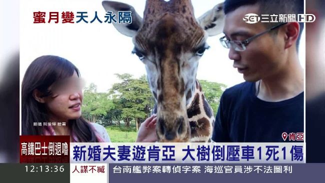 台灣夫婦肯亞度蜜月　新郎遭大樹壓死