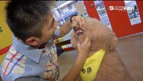 健綠潔牙骨1924財1921 081