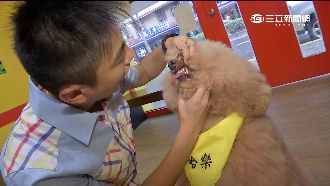 健綠潔牙骨獲認證　輔助狗狗牙齒健康