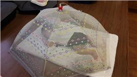 小寶寶,防蚊,圖／Dcard