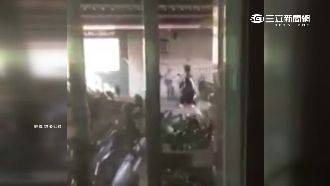 向母討錢引戰火　親兄弟當街大打出手