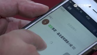 抓弊！5綠委LINE組團「打肥貓」