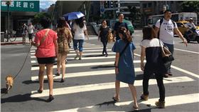 颱風,尼伯特,高溫,圖／中央社