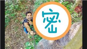 樹懶 圖/翻攝自imgur