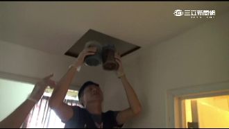 嫌工作無聊！「鋼鐵小開」種大麻遭逮