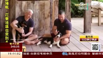 CNN主播公開巴西豪宅　愛人也現身