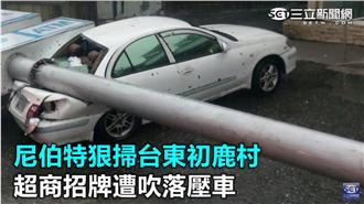 影／路邊停車被這根砸中　車主心碎了