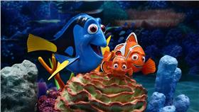 香港時代廣場《海底總動員2：尋找多莉》展覽。（圖／時代廣場提供）