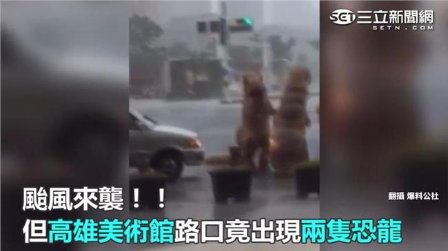 「恐龍」無懼颱風　馬路嬉戲不要命