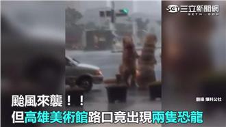 「恐龍」無懼颱風　馬路嬉戲不要命