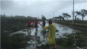 台東綺麗珊瑚幫忙整理環境（圖／翻攝自楊清瓏臉書）