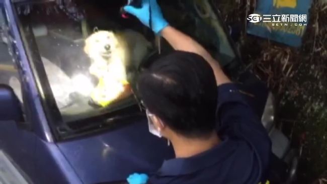 久病厭世？林嫌箱型車內獨留愛犬女兒