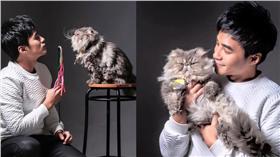 是元介上二樓餵食流浪貓不慎跌落／是元介臉書