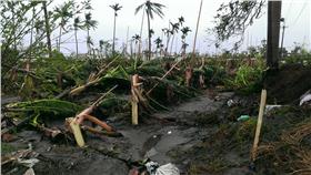 颱風,尼伯特,農民,損失,台東,受損,嚴重,災情,周志偉,國民黨,藍營,救災,重建-翻攝自《台東臉書災害通報》臉書公開社團
https://www.facebook.com/groups/395649920501387/permalink/1159004627499242/