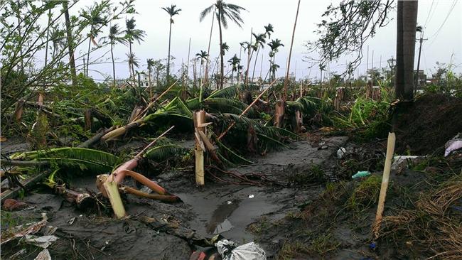 前進台東　農委會號召台東農事志工團