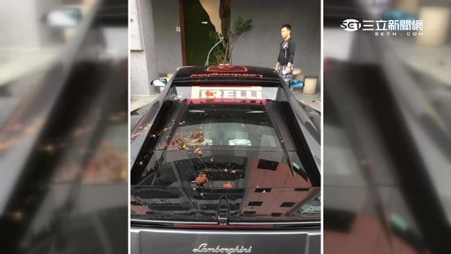 限量超跑遭潑檳榔渣　鋼鐵爸傻掉了