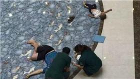 電扶梯,墜樓(圖翻攝 北京青年報)
