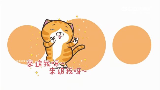 靠貼圖翻轉人生　臭跩貓成台灣之光！