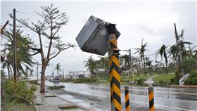 尼伯特,颱風,台東,電線,紅綠燈,天災,災情,測速.照相機(中央社)