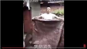 豬隊友,魔術,助手,消失,影片,搞笑,鐵頭功(https://www.youtube.com/watch?v=ryA-JBcAoE0)