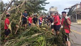 綺麗珊瑚隊員幫忙重建（圖／翻攝自綺麗珊瑚臉書）
