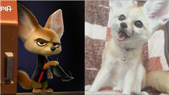 日飼主狂曬卡通寵物　網友看了好羨慕