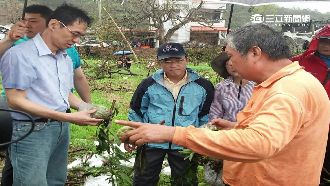 秘書長放工人鴿子挨批　藍營這樣回嗆