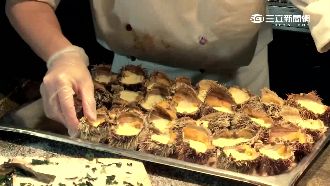 海膽吃到飽挨轟！飯店喊卡息怒火