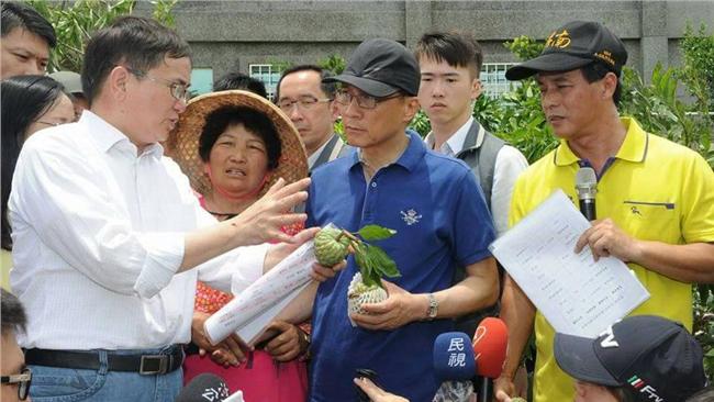 勘災獨厚火龍果？　政院：未冷落釋迦