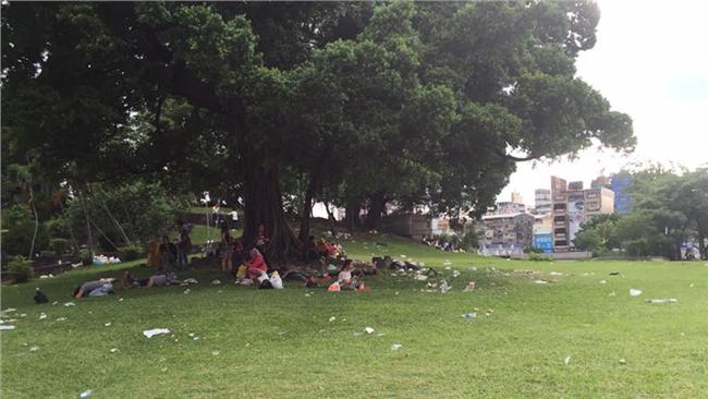 台中公園滿地垃圾　阿伯這句話好心酸