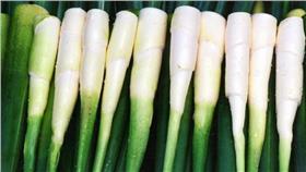 筊白筍
圖／翻攝自媚麗埔里網站