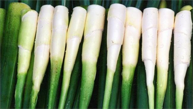 筊白筍好威！維他命E是糙米的4倍