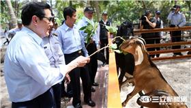 常設國際仲裁法庭今天對南海仲裁案的仲裁結果，認定太平島是「礁」不是「島」，我跟全體國人一樣，非常錯愕與憤怒。（圖／馬英九臉書）
