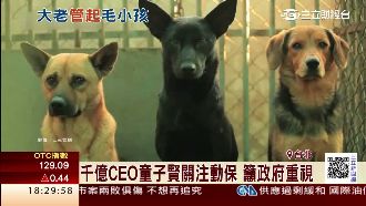 零安樂死將上路　童子賢憂配套不足